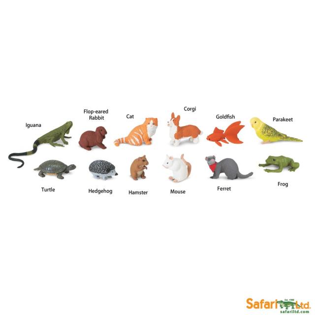 Safari动物模型 正品包邮 小宠物 无毒无味 兔鼠猫 场景幼教野生