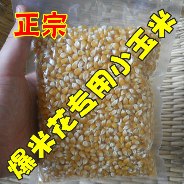 爆花小玉米专用原料自制爆米花健康营养 250克真空包装 包邮