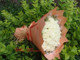 情人节33朵白色玫瑰浪漫生日花束西安鲜花店订花同城市区免费配送