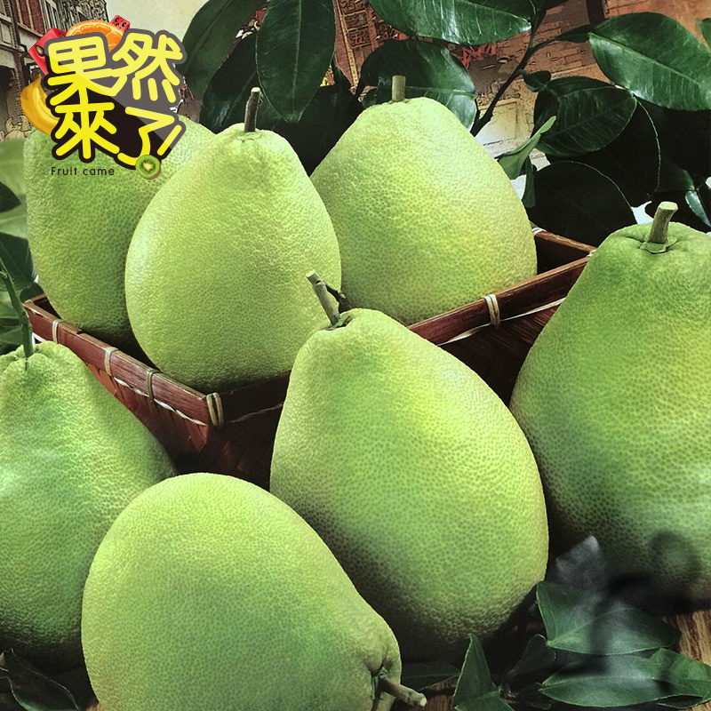 【果然来了】台湾50年老树麻豆文旦柚5斤  正宗进口新鲜水果