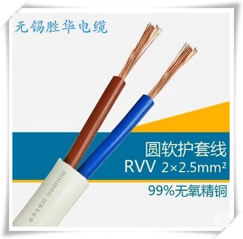国标RVV2芯*2.5平方纯铜多股软线监控专用电源线信号线两芯护套线