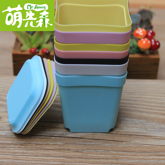多肉植物塑料花盆 韩国创意方形盆子 七彩个性颜色