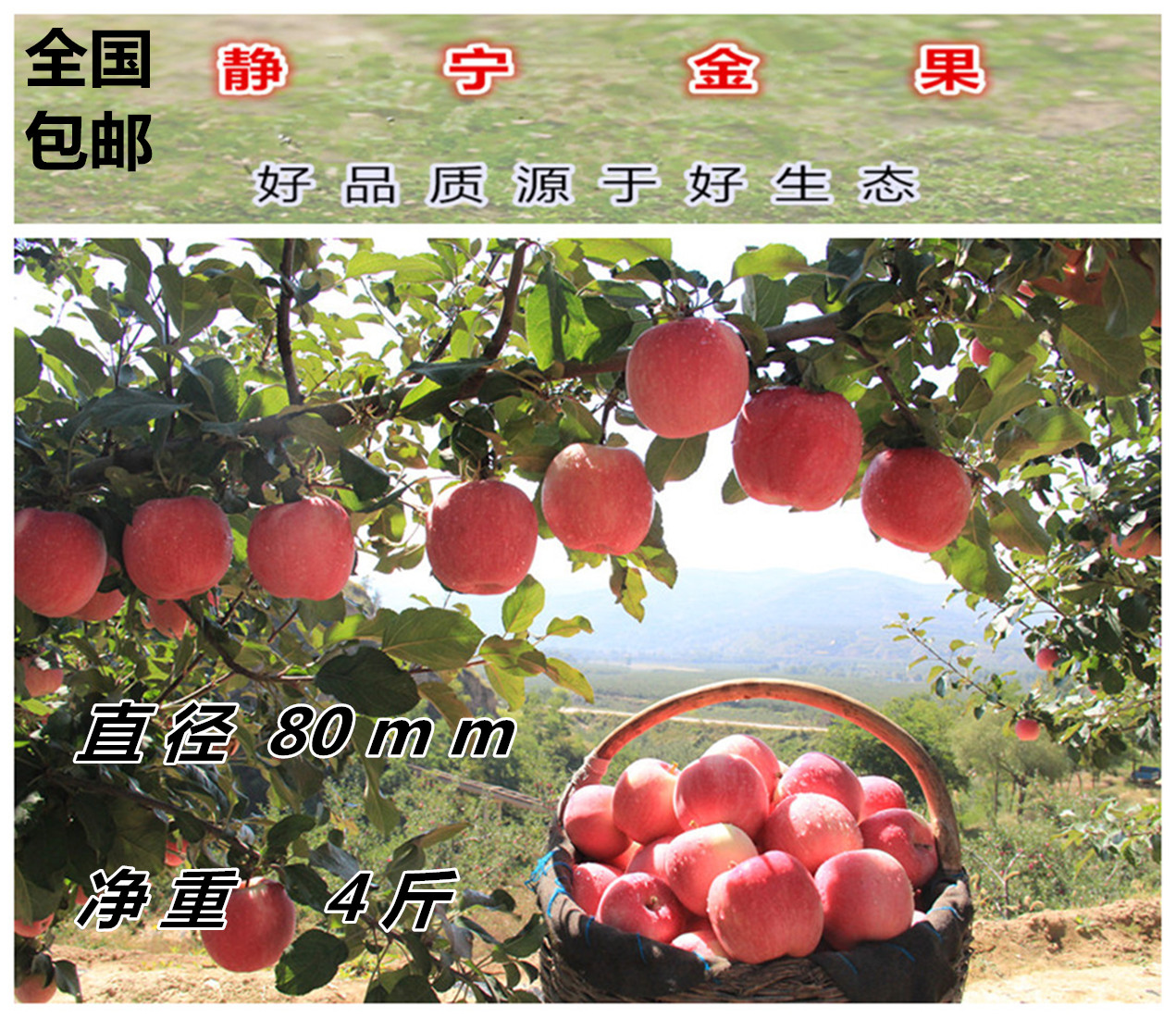 静宁苹果红富士水果脆甜可口纯天然 现摘新鲜批发80#4斤优惠装