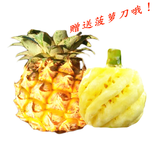正宗泰国菠萝 泰国小菠萝 迷你小菠萝 凤梨 新鲜菠萝 5斤装包邮