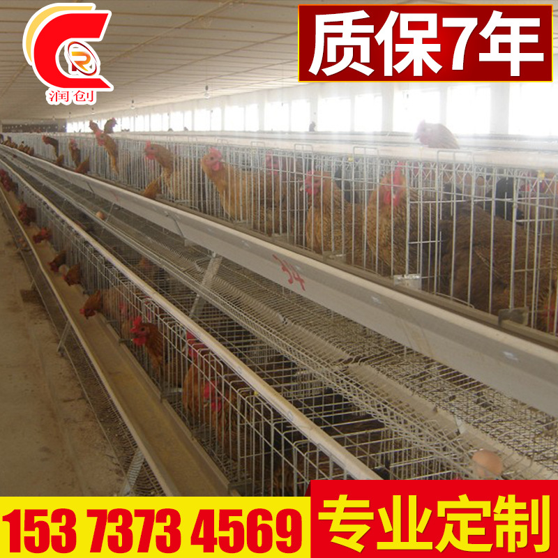 厂家直销可定制蛋鸡笼笼具 养殖蛋鸡笼 不生锈蛋鸡鸡笼设备