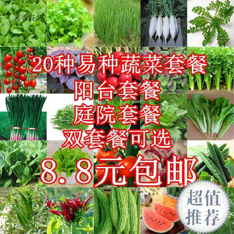 【天天特价】20种阳台庭院蔬菜种子套餐 生菜花蔬果菜籽四季播