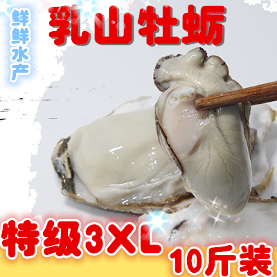 包邮鲜活乳山牡蛎10斤 特级蚝3XL 新鲜海蛎子 生蚝 顺丰直达