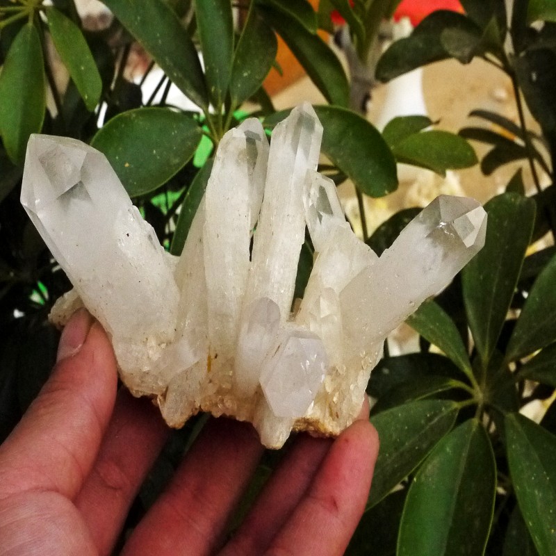 天然白水晶簇 骨干水晶原石摆件 骨干标本原石 全包裹白色金字塔