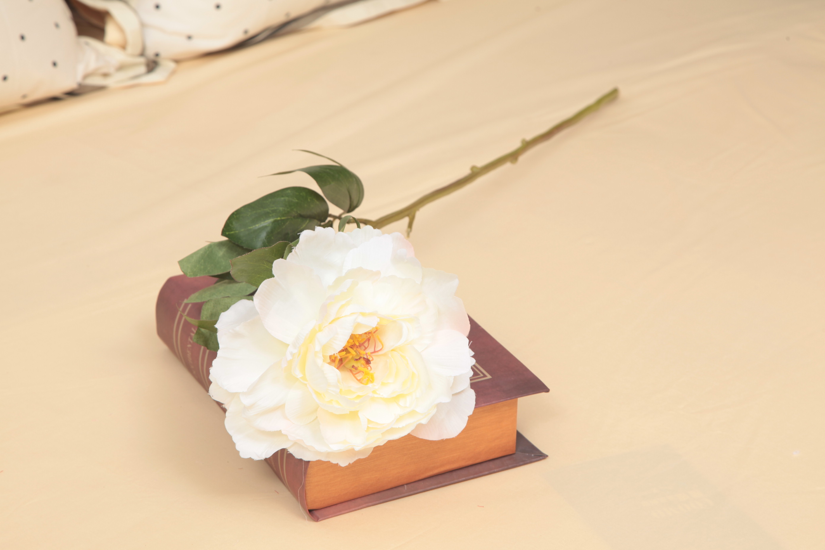 新款仿真牡丹花花束牡丹塑料花客厅摆设花单束花枝绢花客厅装饰花