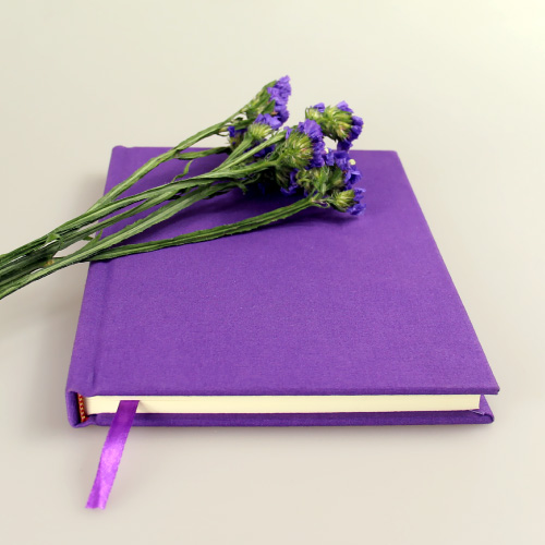 2本包邮 太壹布面纯色涂鸦笔记本记事本《迷情紫》简约文艺日记本
