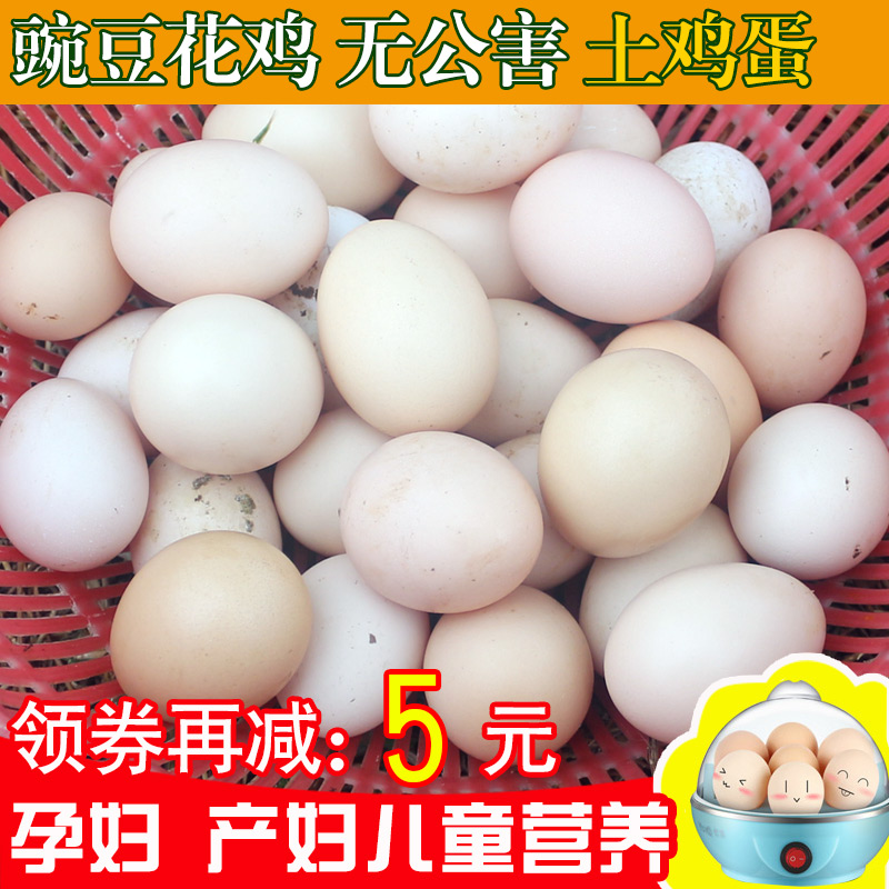 土鸡蛋30枚 无公害笨柴鸡蛋 初生蛋 月子鸡蛋  豌豆花鸡蛋