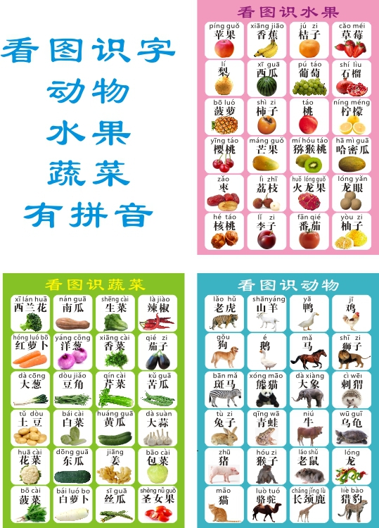 SZ-202 动物水果蔬菜看图识字小学语文宝宝幼儿学前拼音挂画
