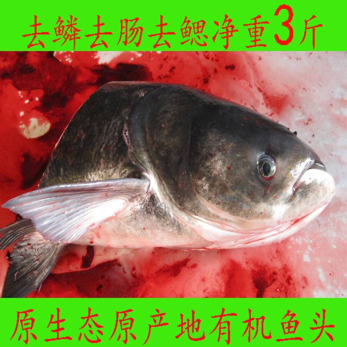 舌尖上的中国千岛湖湖鲜3斤有机鱼胖头鱼鲜活水产江浙沪特价包邮