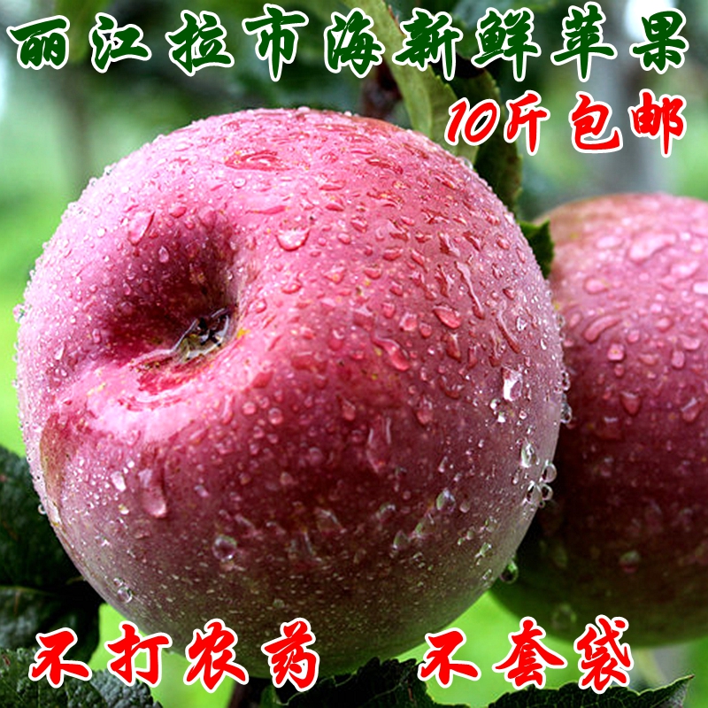 新鲜水果丽江拉市海茶马古道农家新鲜苹果 不套袋不打药 10斤