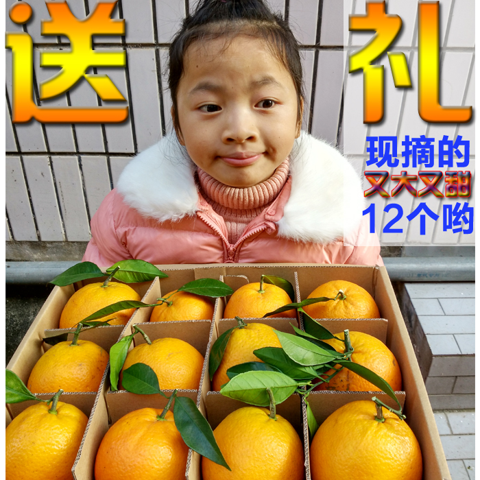 橙信江西赣南脐橙 礼盒装 现摘农家纯天然新鲜水果 赣州橙子包邮