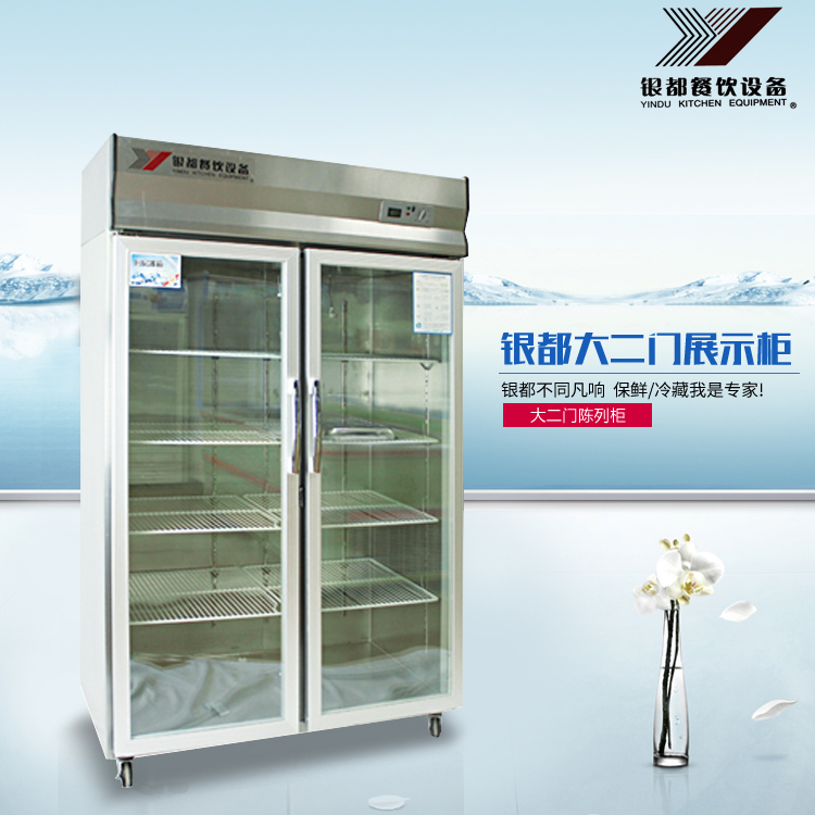 银都大二/三门冰柜饮乳品保鲜冷藏展示柜二/三门陈列柜玻璃门冷柜