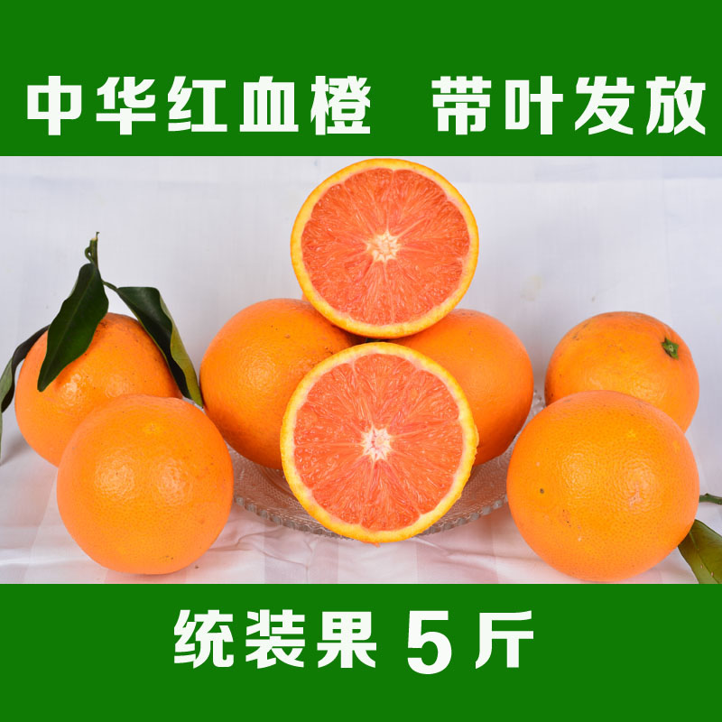 三峡中华红橙子 秭归红肉脐橙 新鲜水果 5斤 有机无公害 酸甜味