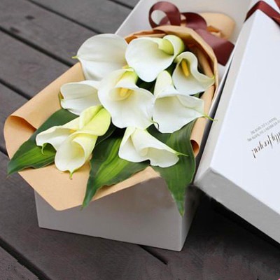 广州鲜花速递进口9朵马蹄莲礼盒装生日鲜花预定同城速递送花