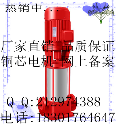 XBD-GDL立式多级消防泵/消火栓泵/消防多级增压泵50GDL12-15X2