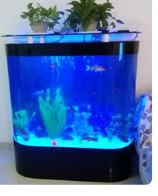 生态鱼缸水族箱圆角玻璃金鱼缸大型龙鱼缸1.5米1.6米创意鱼缸金鱼
