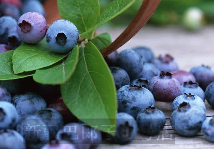 实体店新疆伊犁蓝莓干独立小包装蜜饯蓝梅干零食满50包邮特价