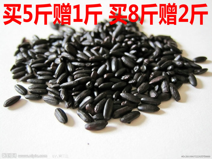东北黑龙江五常稻花香大米店之农家自产特级纯天然五常有机黑大米