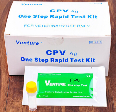 Venture细小试纸CPV犬细小病毒检测试纸卡原装进口一张