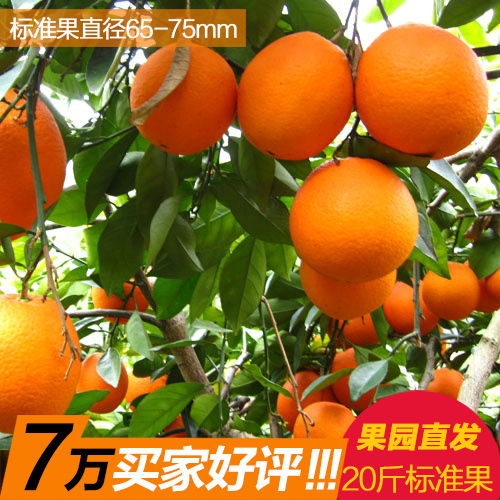 赣南脐橙 标准果20斤 江西橙信丰安远橙子孕妇水果新鲜水果包邮