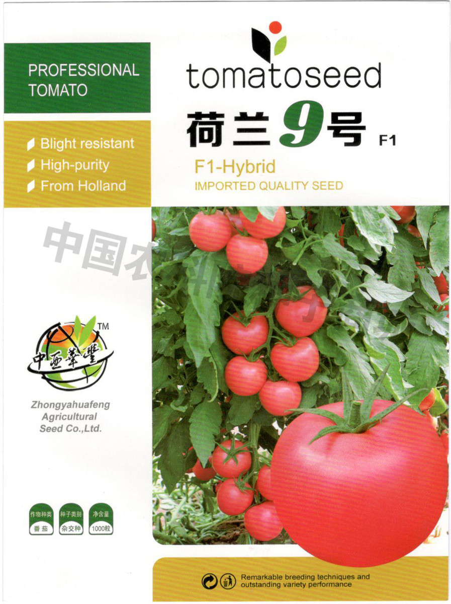 荷兰进口番茄种子蔬菜种子高产粉果抗病毒荷兰9号西红柿种子包邮