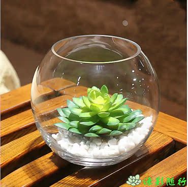 大号多肉植物创意个性花盆包邮花瓶花器水培鱼缸微景观玻璃球形