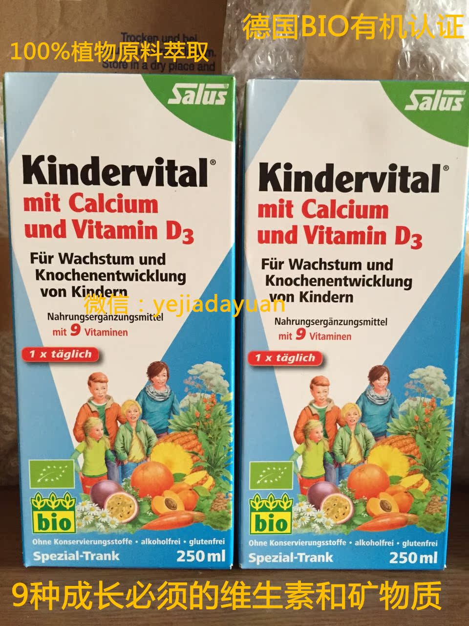 德国salus艾儿口服果蔬营养液儿童铁元多种维生素钙 D3 现货包邮