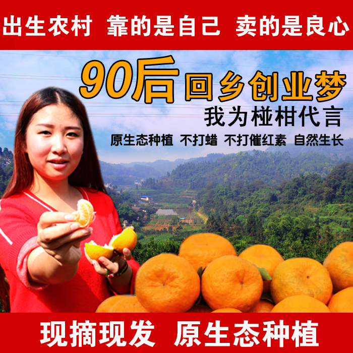 新鲜水果芦柑椪柑乐山特产农家自种特价包邮
