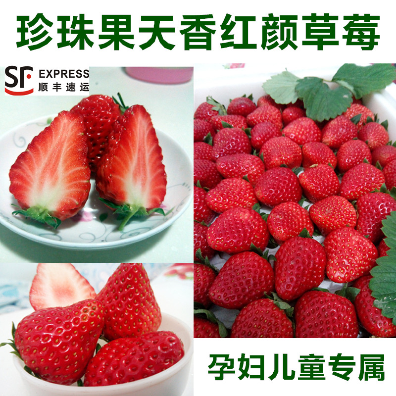 北京昌平天香红颜珍珠果草莓水果500克 新鲜奶油草莓2斤起包顺丰