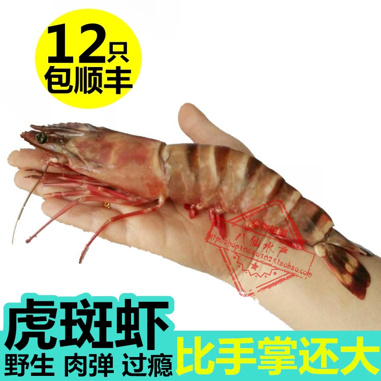 海鲜新鲜大虾野生虾鲜活对虾冷冻斑节虾野生竹节虾进口水产大虎虾
