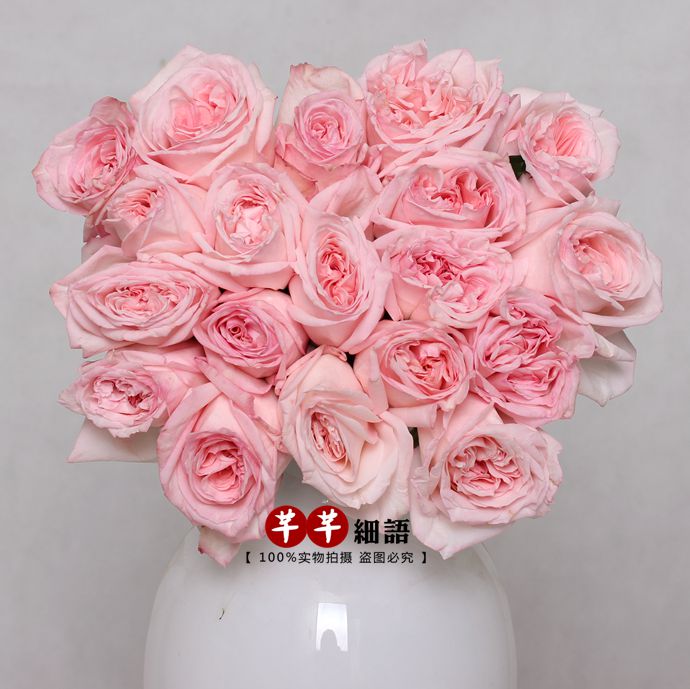家居办公桌插花 新款荔枝玫瑰 有香味的大朵粉玫瑰 全国鲜花速递