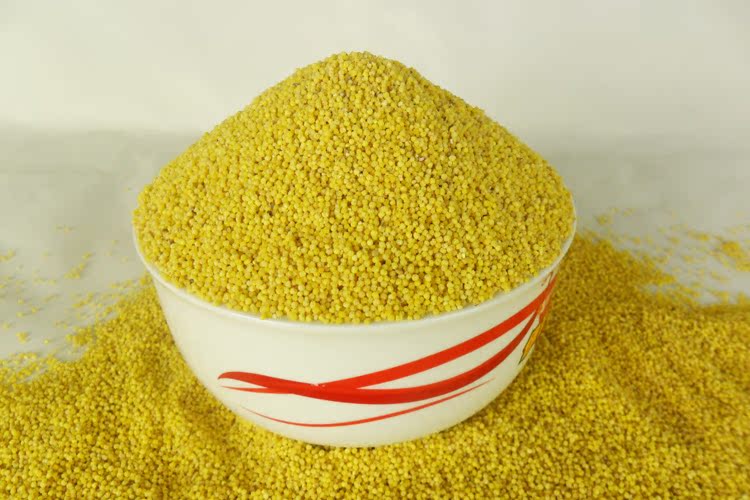 沂蒙山农家杂粮小米子黄小米粥有机小米月子米 250g