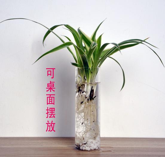 创意圆柱 壁挂式花瓶 富贵竹绿萝花瓶 透明玻璃 花插花瓶水培鱼缸