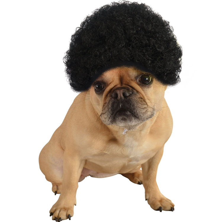 2015时尚流行宠物帽子明星狗狗假发套服饰配件 蓬松短卷发爆炸头