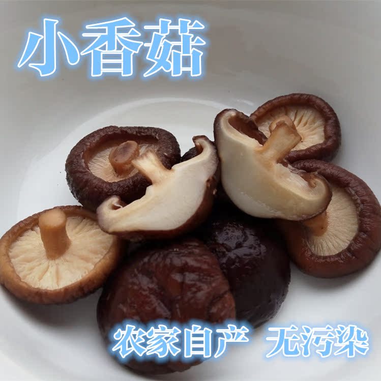 刘老头 香菇干 野生小香菇 干货香菇 珍珠菇冬菇蘑菇干货  100g
