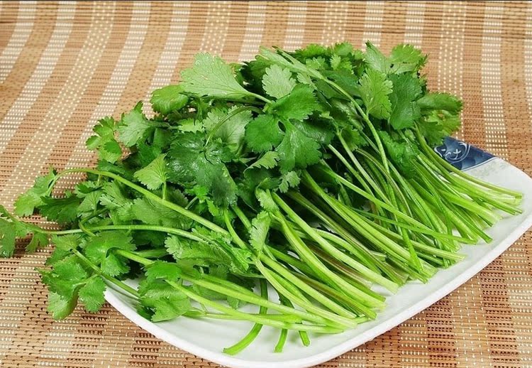 默默果蔬同城配送 新鲜蔬菜绿色无公害香菜提味 250克