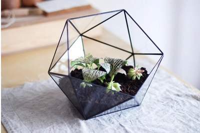 创意几何多面体做旧玻璃花房 布丁玻璃瓶 创意多肉植物墙玻璃盒子