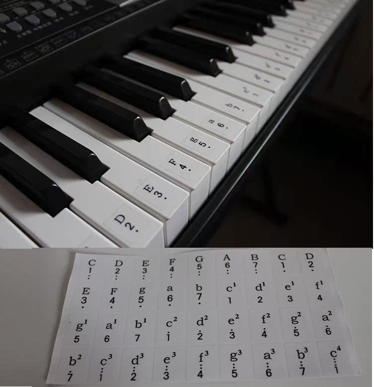 琴键贴钢琴琴键贴61键54键电子琴琴键贴简谱对照琴键贴正品包邮