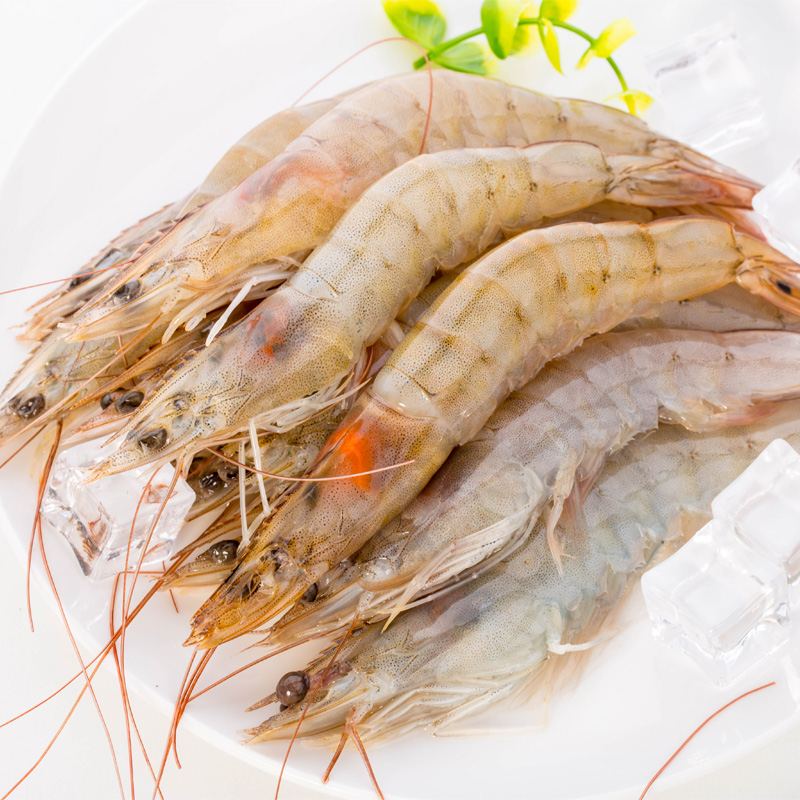 獐子岛厄瓜多尔白虾1.8KG 南美进口野生海鲜水产冻虾大虾冷冻对虾