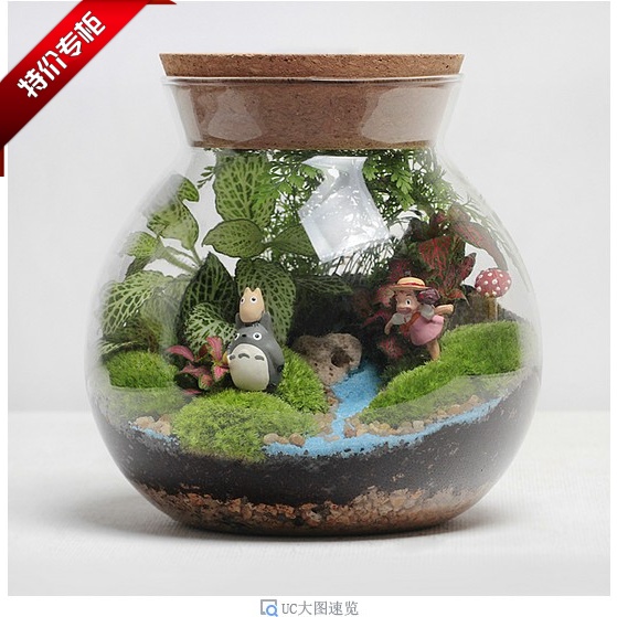 桌面植物diy迷你盆栽 创意玻璃办公室小盆栽苔藓微景观微缩生态瓶