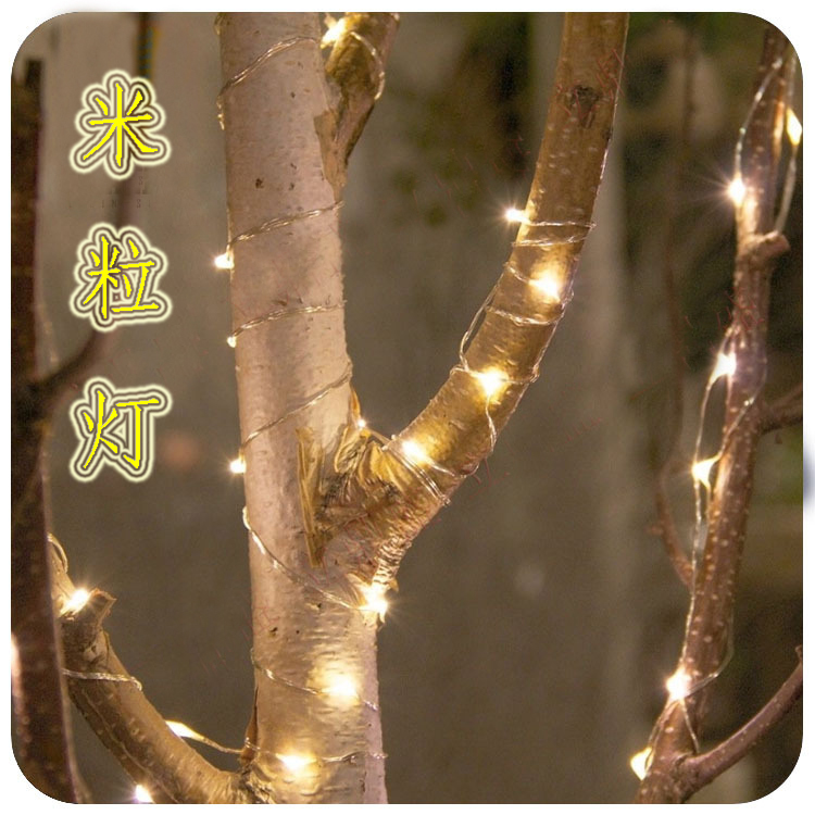 LED铜线灯串米粒灯彩灯户外防水闪灯圣诞灯室内婚房布置纯色