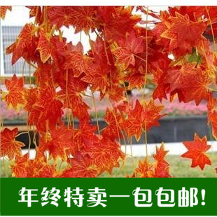 仿真红枫叶藤条假花塑料花藤蔓吊顶装饰大葡萄叶绿植物树叶子壁挂
