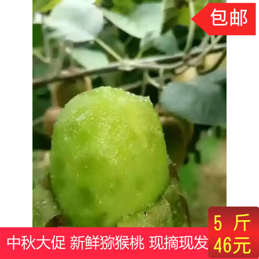 陕西眉县徐香猕猴桃奇异果天然有机无公害新鲜奇异果孕妇可食水果
