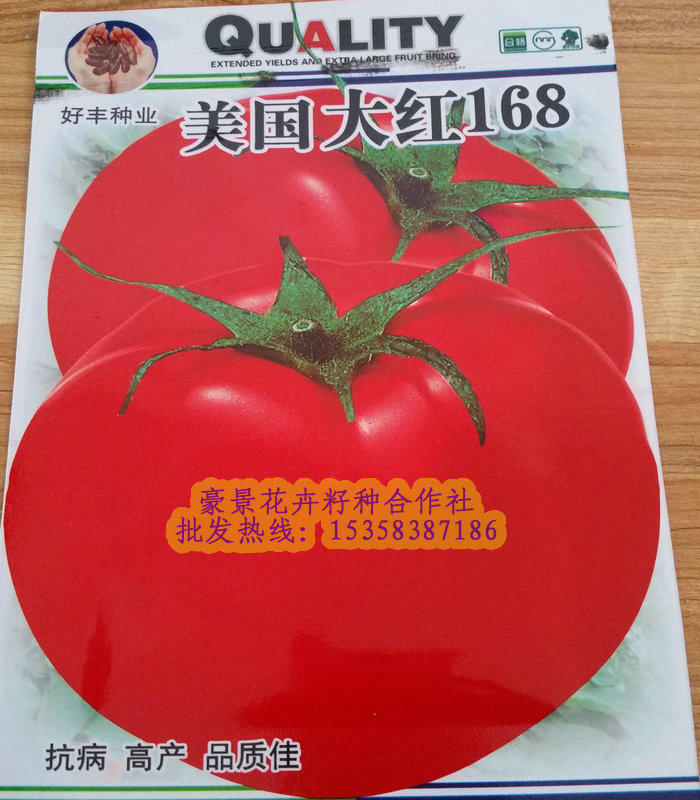 促销蔬菜瓜果种子番茄美国大红168西红柿红果抗病中熟春秋播种籽