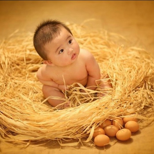 出租宝宝百天照服装 婴儿满月照百日拍照摄影道具木质鸡蛋拉菲草