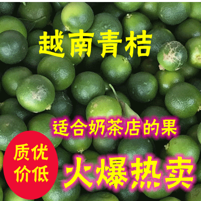 新鲜水果 越南青金桔/小青桔 制作青橘茶 新鲜到货